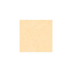 BCF 30Z1404BE