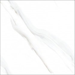 BGP 6HD001WH