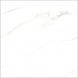 BGP 6HD002WH