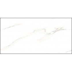BGP 63HD002WH