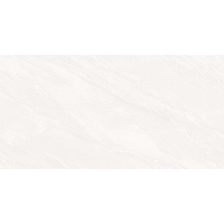 BGP 48011WH