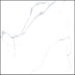 BPS 6H6201WH